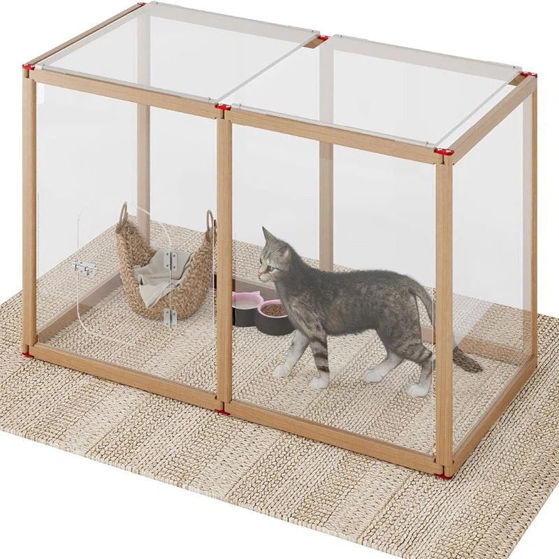 Acrylic Pet Display