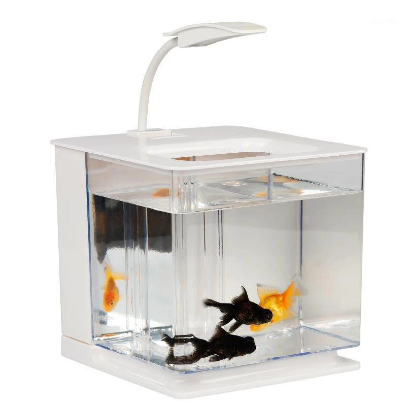 Small Acrylic Fish Tank