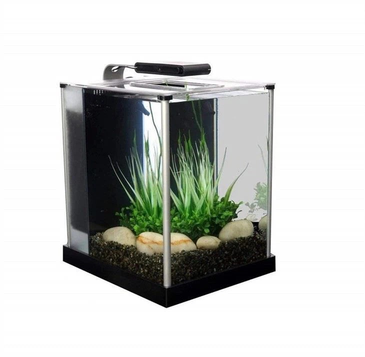 Small Acrylic Fish Tank - Acrylic Fish Tank - 2